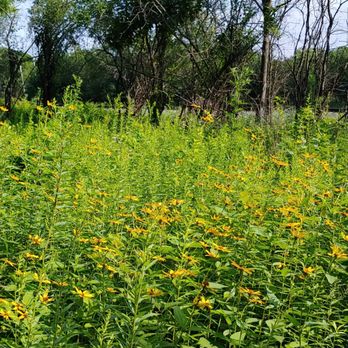 Barton Nature Area - Hiking Near Me - Ann Arbor, Michigan