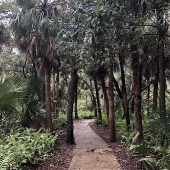 Delray Oaks Natural Area - Hiking Near Me - Delray Beach, Florida