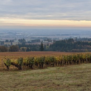 Domaine Drouhin Oregon - More views - Wine Tasting Room Near Me - Dayton, Oregon