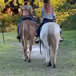 WB Family Ranch - Bonding time
