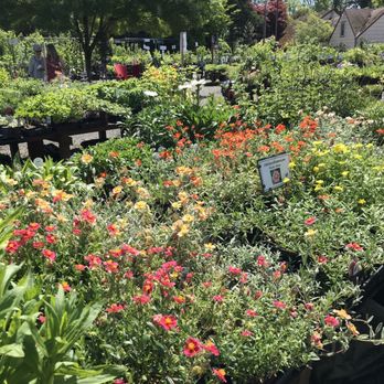 Garland Nursery - Endless healthy, thriving plants - Landscape Architects or Designers Near Me - Corvallis, Oregon