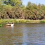 Photo of Cottonwood Creek