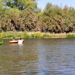 Cottonwood Creek - Swimming in the river, before it got very crowded
