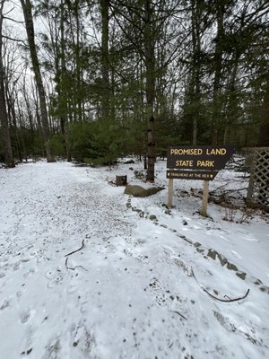 The Rex Hotel by null