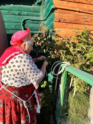 Samovar Cafe by null