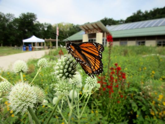 Indian Creek Nature Center by null