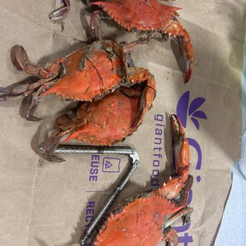 Decatur Crab House - Three crabs are so small and one is slightly bigger - Seafood Markets Near Me - Fredericksburg, Virginia Decatur Crab House - Three crabs are so small and one is slightly bigger - Seafood Markets Near Me - Fredericksburg, Virginia