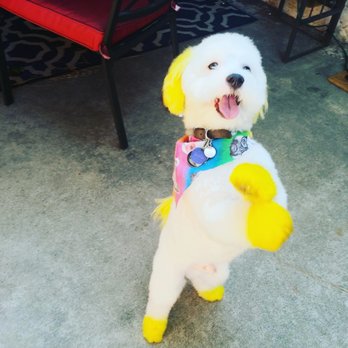 Plush Pups Pet Boutique and Spa - Pet Groomers Near Me - Riverside, California