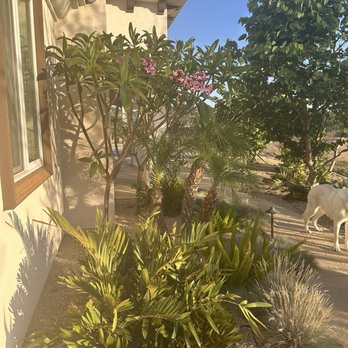 Pacifico Landscape - Landscaping Near Me - Perris, California Pacifico Landscape - Landscaping Near Me - Perris, California