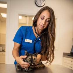 The Animalife Veterinary Center at Eagle Creek