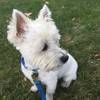 Petco - Pet Stores Near Me - San Diego, California