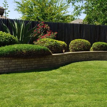 Lo's Yard Services - Shrub shaping. - Tree Services Near Me Lo's Yard Services - Shrub shaping. - Tree Services Near Me