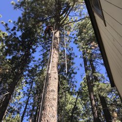 Good View Tree Service