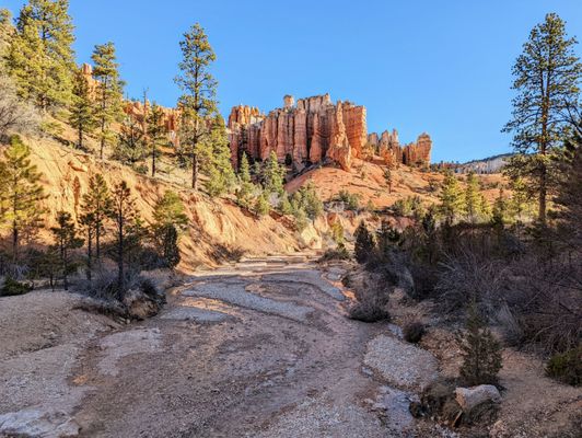 Mossy Cave Trailhead by null