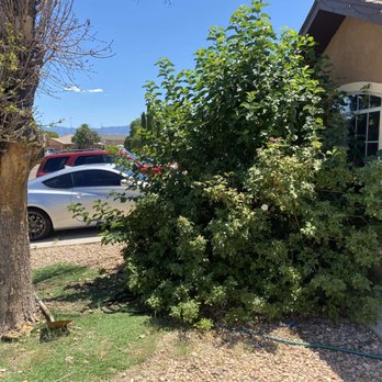 A&D Junk Removal & Yard Maintenance - Junk Removal & Hauling Near Me - Albuquerque, New Mexico A&D Junk Removal & Yard Maintenance - Junk Removal & Hauling Near Me - Albuquerque, New Mexico