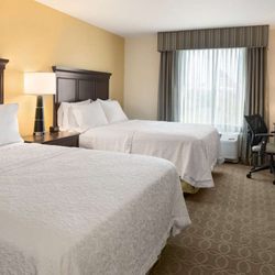 Hampton Inn & Suites Corpus Christi - Guest room