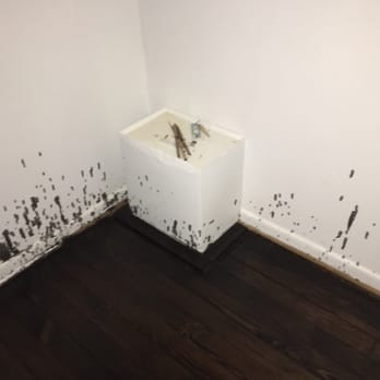 Wan's Hardwood Floors - a bathroom with moldy walls - Flooring Near Me - Pennsauken, New Jersey Wan's Hardwood Floors - a bathroom with moldy walls - Flooring Near Me - Pennsauken, New Jersey