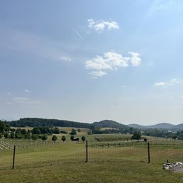 Vineyards! Vineyards!
