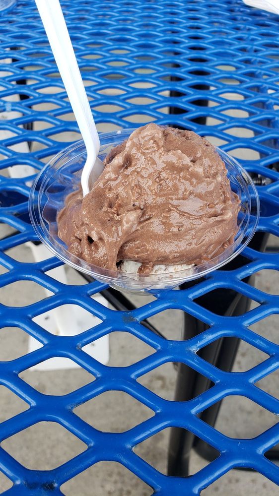 HANDEL’S HOMEMADE ICE CREAM 11 Reviews 2272 E Franklin Blvd