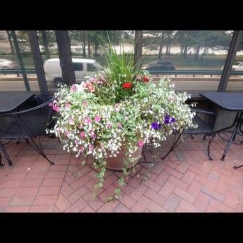 The Boston University Pub - a table with flowers in it - Pubs Near Me - Boston, Massachusetts
