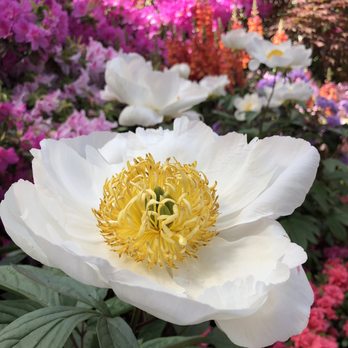 Lincoln Park Conservatory - Parks Near Me - Chicago, Illinois Lincoln Park Conservatory - Parks Near Me - Chicago, Illinois