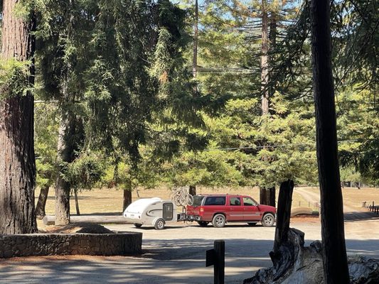 Drive-Thru Tree Park Leggett by null