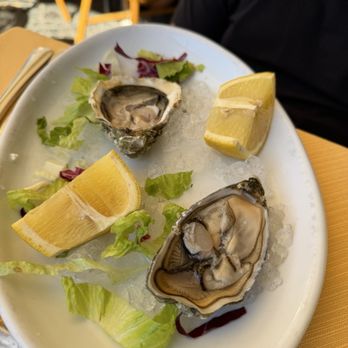 Tucci - Oysters - Italian Near Me - Rome, RM Tucci - Oysters - Italian Near Me - Rome, RM