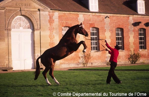 Comité Départemental du Tourisme de l'Orne