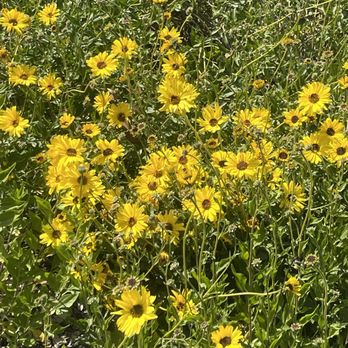 Conejo Valley Botanic Garden - Botanical Gardens Near Me - Thousand Oaks, California