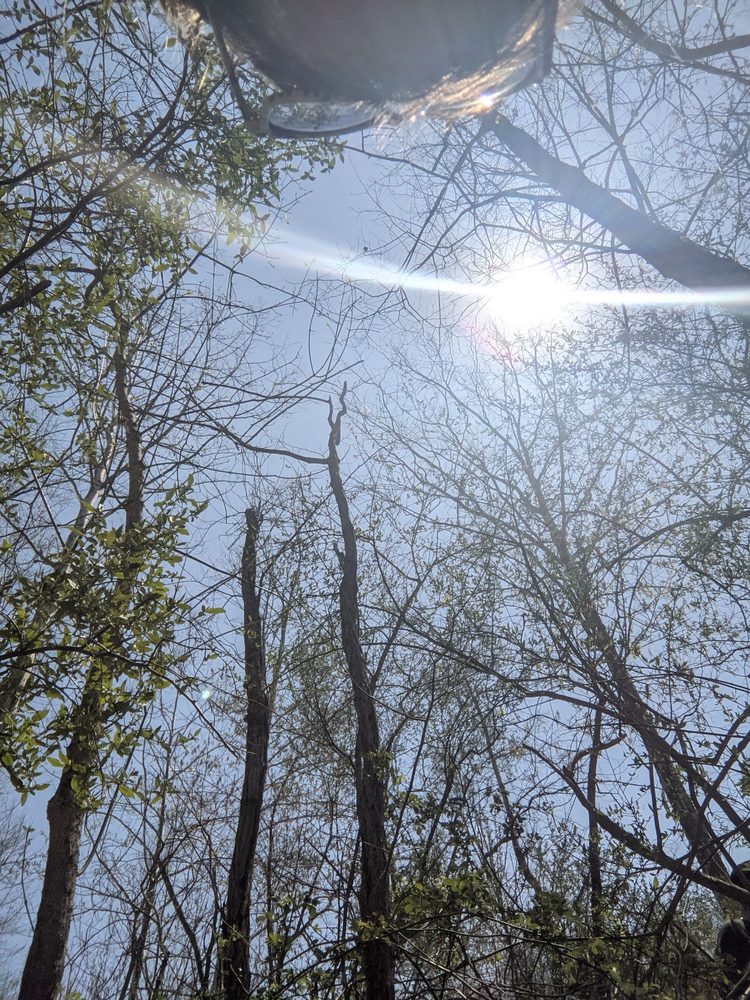 AEP Recreation Land Logo