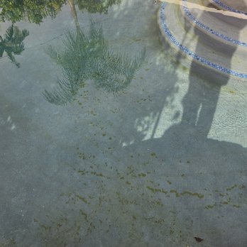 Champion Pool Care - Pool Cleaners Near Me - Sherman Oaks, California