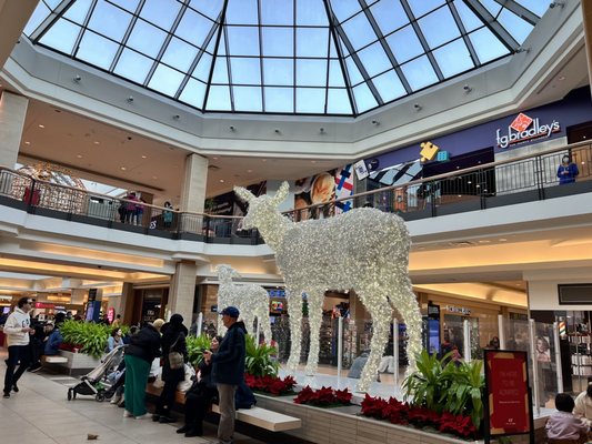 CF Fairview Mall by null
