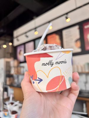 Molly Moon's Homemade Ice Cream Bellevue by null
