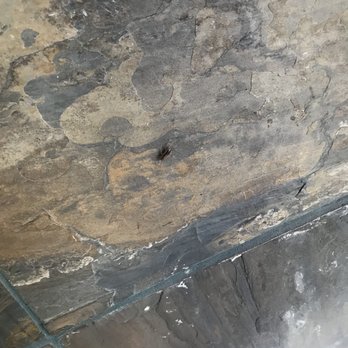The Nail Forum - Oh and the cockroach at the entrance was disgusting - Nail Salons Near Me - Stevenson Ranch, California