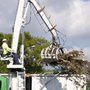 Awesome Tree & Stump Service