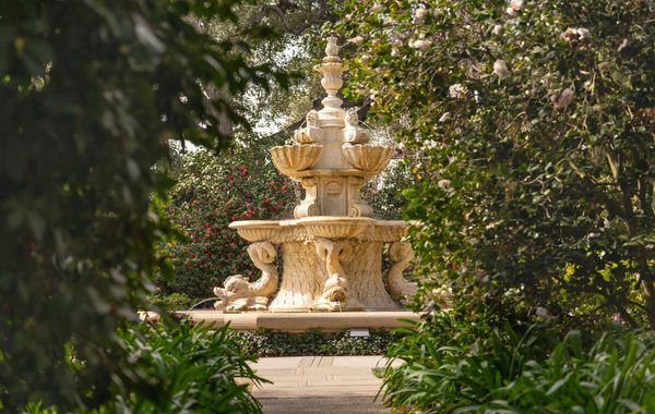 The Huntington Library, Art Museum, and Botanical Gardens by null