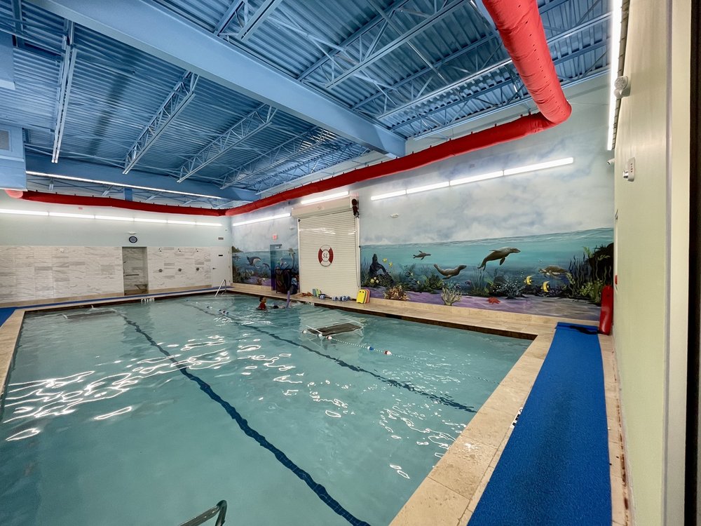 Sea Lion Swim School Logo