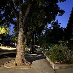 Laurie Strode Halloween House - Laurie Strode's House from the Classic Film Halloween. It is on the corner of Oxley & Fairview in South Pasadena.