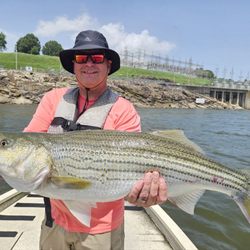 Fish On! Guided Tours