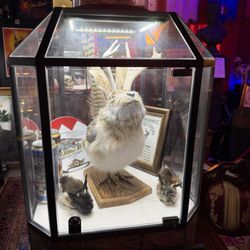 Curia Arcanum's House of Curiosities - Not quite a rabbit