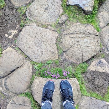 Giant's Causeway - Giant's Causeway - Landmarks & Historical Buildings Near Me - Bushmills, MYL