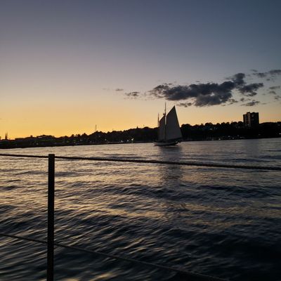 Portland Schooner Co. by null