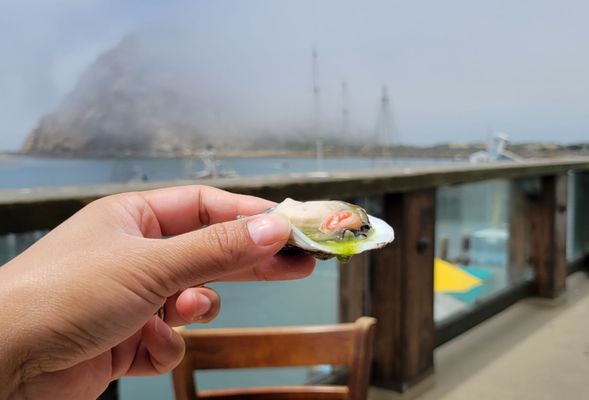 Grassy Bar Oyster Company by null