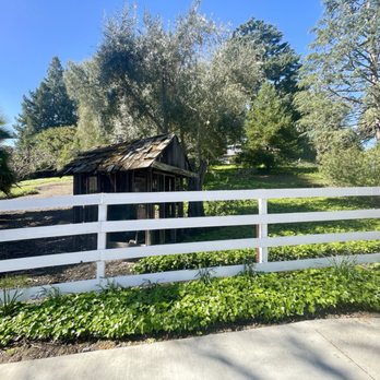 Sabercat Creek Trail - Parks Near Me - Fremont, California Sabercat Creek Trail - Parks Near Me - Fremont, California