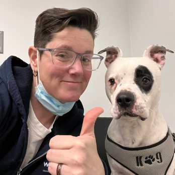 Wagger - Pet Transportation Near Me
