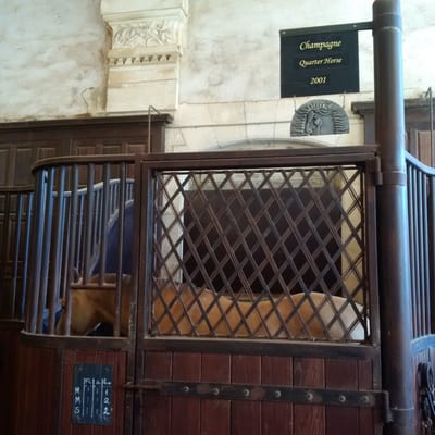 Grande Écurie by null