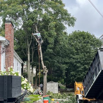 Nelson's Hardscape & Tree Service - Tree Services Near Me