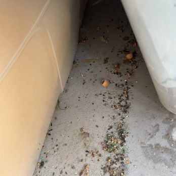 CubeSmart Self Storage - Rats Excrements - Self Storage Near Me - East Greenwich, Rhode Island CubeSmart Self Storage - Rats Excrements - Self Storage Near Me - East Greenwich, Rhode Island