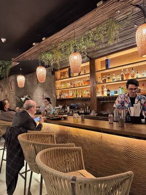 Elephant Ear by null