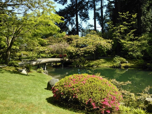 Nitobe Memorial Garden by null